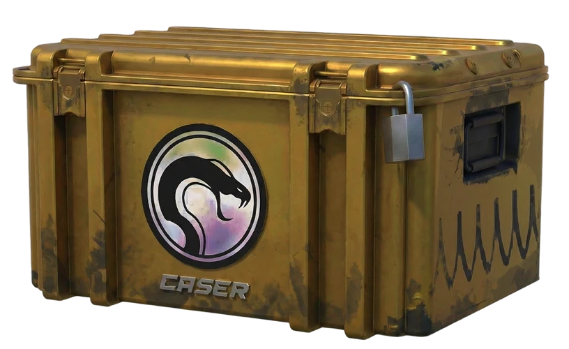 cases-case-card-logo-recoil