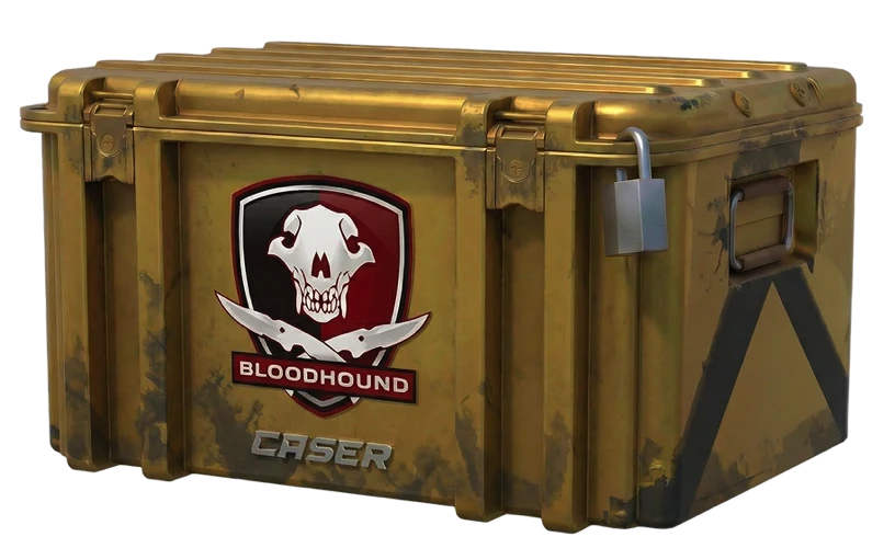 cases-case-card-logo-falchion