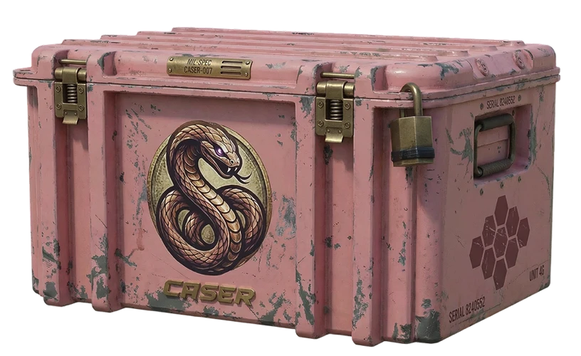 cases-case-card-logo-blowback